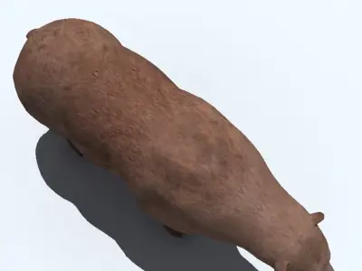 Grizzly Bear 3D model