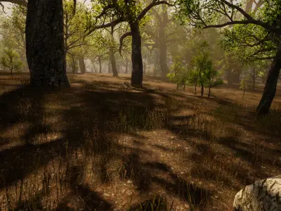 Procedural Forest for Open - Worlds