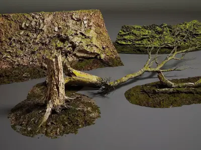 Rock Tree - Environment pack  Low-poly 3D model