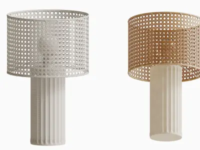 Cane Lamp Shade 3D model
