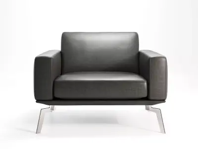 DS 87 01 Armchair 3D model