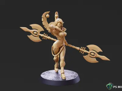 Space Elf Warmancer Bundle - Volume 1 3D print model