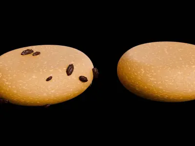 Snap food biscuit and raisin biscuit 3D model