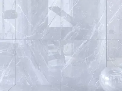 Wall Tiles Museum Mainstone Dolphin 120x120 Set 2 Texture