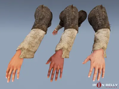 AAA Animated Medieval First Person Arms Pack  Low-poly 3D model