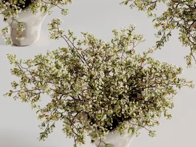 plants bouquet vase 48 3D model