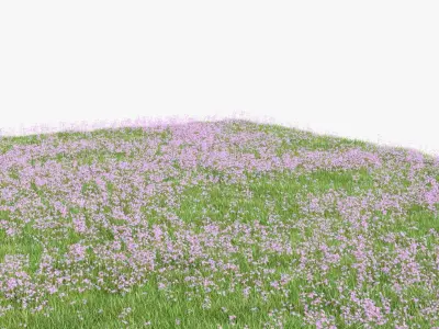 Pink Wild Flower Field 3D model