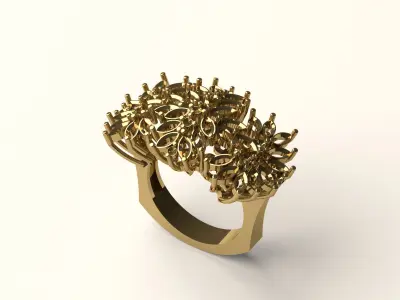 Ring R 40 3D print model