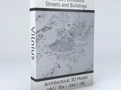 Vilnius Streets and Buildings 3D model