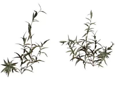 Realistic Dry Shrub Clump  Low-poly 3D model