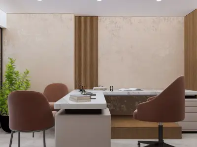 DUPLEX OFFICE B  3D model