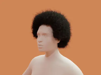 Afro Black Hair 3D model