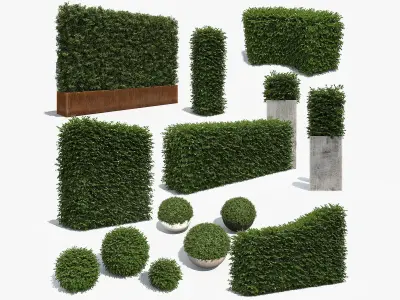  Architectural Boxwood Hedges and Topiary Pack 