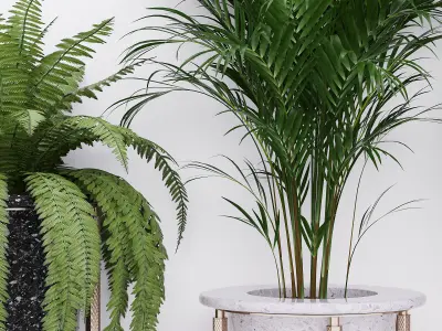 Palm and fern corner 3D model