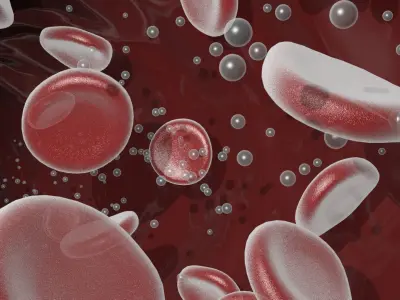 Animated Blood Vessels Segment 3D model