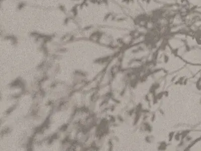 Exposed Concrete 16 - Seamless Texture