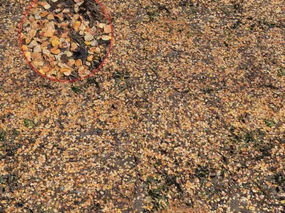 Ground autumn scan 3D model