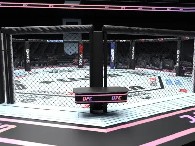  Arena Fighting MMA - 3D Model 
