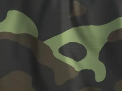 Ukrainian camouflage Dubok Texture