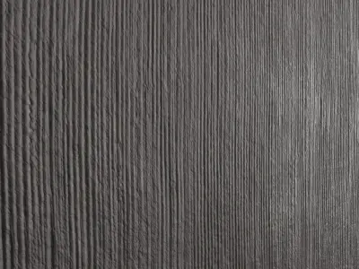 Decorative plaster 53 Texture