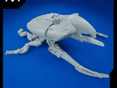 Beetle A  3D print model