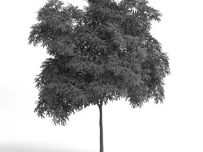 6 Olive Trees 3D model