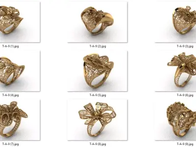 ring 9 pieces drawing 3d rihone drawing ring rings ring 3D print model