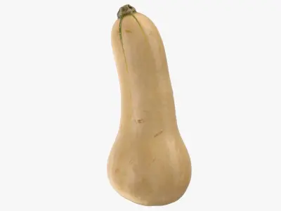  Pumpkin Collection 3 