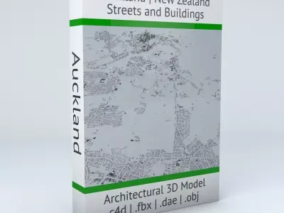 Auckland Streets and Buildings 3D model
