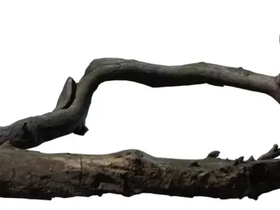 Game Ready Forest Branch and Log Pack Low-poly 3D model