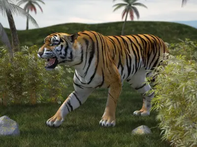  Tiger Rigged for Cinema 4D 