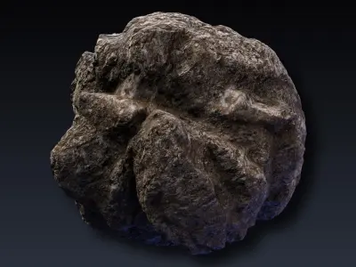 Rock Collection 1 meteorite 3D model