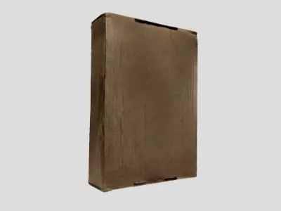 A flat cardboard box 3D model