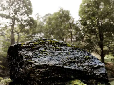 Giant Boulder 3D model