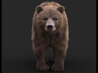  BEAR RIG XGEN-CORE 