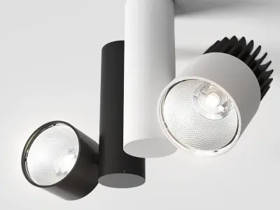 AQForm Roll Collection 3D model