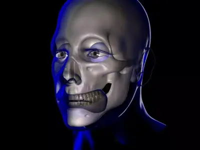 X-Ray Male Face Unrigged 3D model