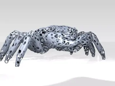 Crab Voronoi 3D model