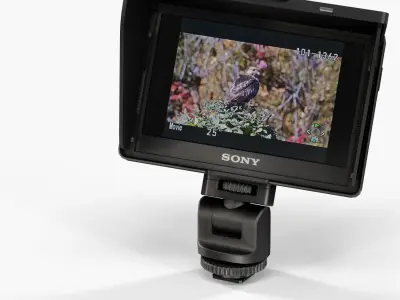 Sony CLM-V55 on-camera monitor Low-poly 3D model