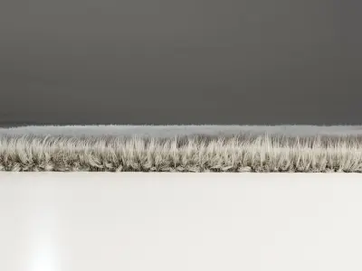 Carpet shaggy rug 3D model