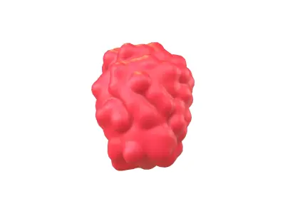 Raspberry V1 001 Free low-poly 3D model