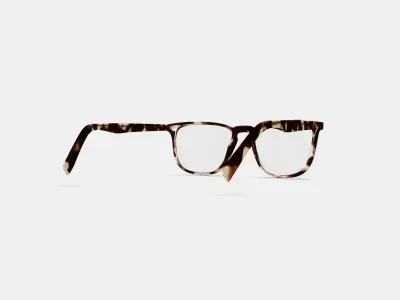 Vaughan Eyeglasses in Burnt Lemon Tortoise 3D model