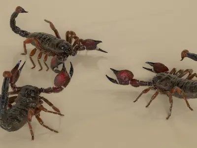  Walking Scorpion Fur Animated Rigged 