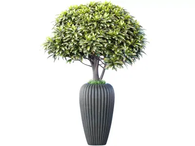 Decorative tree bush shrub in artdeco designer vase 3D model