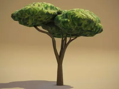 Cartoon Acacia Tree 3D Model Low-poly 3D model