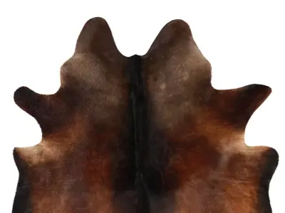 Chocolate Cowhide Rug by Hudson Hides 3D model