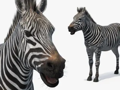  African Animals Rigged Collection 12 