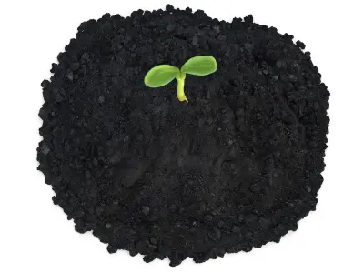  Seedling and Soil 