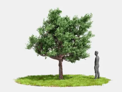 Model tree010 with looped wind animation 3D model