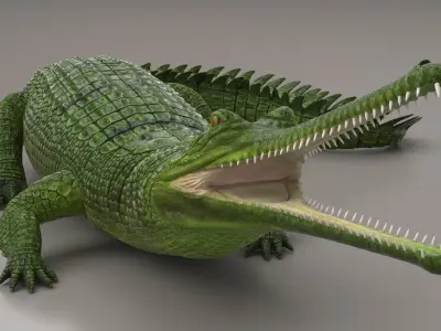  Narrow Jawed Gharial Green Crocodile Lying 